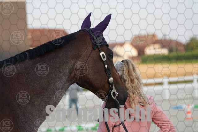 s_A_900154.JPG